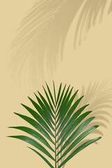 Summer beach concept with tropical palm leaves and shadows on sand color background. Minimal sunlight tropical layout.