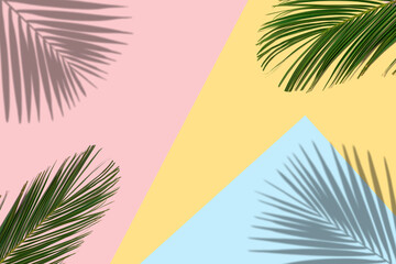 Fototapeta na wymiar Tropical bright colorful background with exotic tropical palm le
