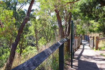walking trail in australian bushland at Sailors Falls near Daylesford