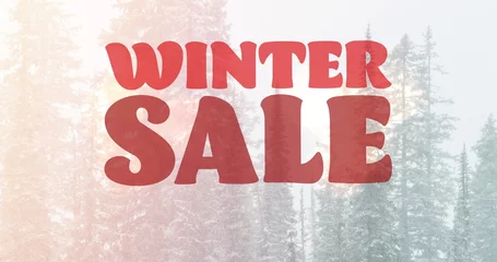 Poster Im Rahmen Image of winter sale text in red over winter landscape background © vectorfusionart