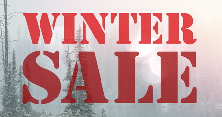 Image of winter sale text in red letters over winter landscape background