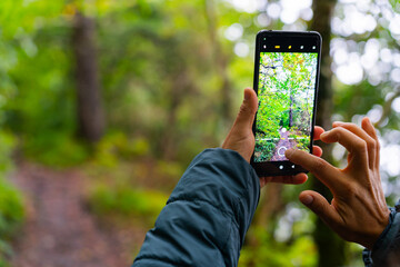 Close up of woman hands taking a photo of a beautiful vertical landscape full of trees and intense...