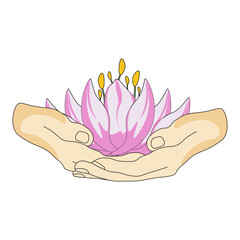 Beautiful pink Lotus in woman hand isolated white background. Sacred plant of India. Beauty Summer Flower. Water lily. Vector illustration can used web design. EPS 10 Editable stroke