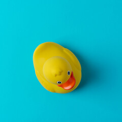 Yellow rubber duck on blue background. Summer minimal concept.