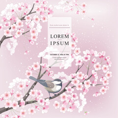 Vector editorial design frame of Korean spring scenery with cherry trees in full bloom. Design for social media, party invitation, Frame Clip Art and Business Advertisement - 737032659