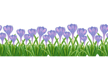 Seamless border, hand drawn watercolor illustration banner on spring flowers theme. Crocuses, greens, grass, spring, freshness