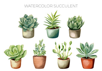 Watercolor succulent and cactus plants in pot. Watercolor flower pot isolated on white. Mexican plants