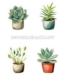 Set of watercolor succulent plants in pot. Watercolor mexican plants. Fower pot isolated on white.