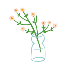 Flower branch in glass vase. Fragile floral plant, field bloom, cut stem for interior decoration. Spring, summer blossomed wildflower sprig. Flat vector illustration isolated on white background
