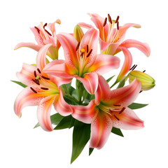 Bouquet of lilies isolated on white and transparent background. Ideal for use in advertising. Generative ai