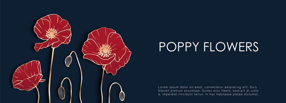 Luxurious floral design with red poppies on a dark blue background. Golden outline of poppy flowers. Floral card, cover design, poster, banner