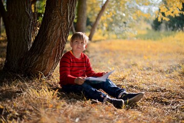 A boy in a red sweater sits near a yellow autumn tree and reads a book
