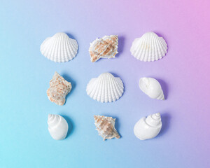 Creative composition with seashells on gradient pastel pink and blue background. Summer minimal concept.