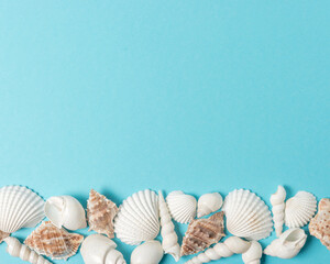 Creative seashell pattern on pastel blue background with copy space. Summer minimal concept.