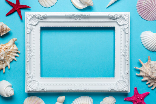 Creative seashells composition with white frame on blue background. Summer minimal concept.