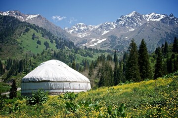 Kazakh national yurt stands in a blossoming field of buttercups