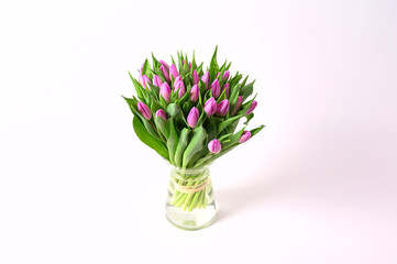 pink tulips in a vase