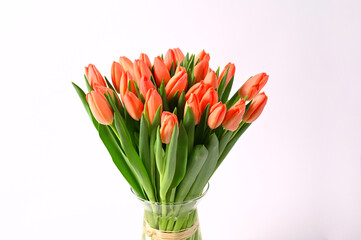 bouquet of tulips