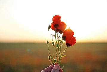 Zelfklevend Fotobehang Female hand holding a bunch of poppy flowers on the sunset background  © Marina Seagull
