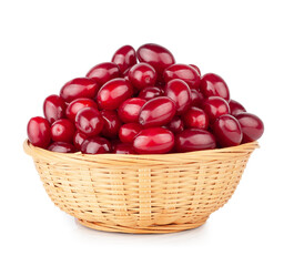 Dogwood basket isolated on a white background