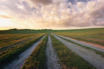 Sunset at cultivated land in the countryside on a spring evening with cloudy sky background....