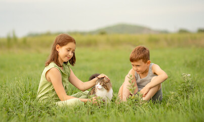 Cute little children playing with cat in the meadow. Selective focus