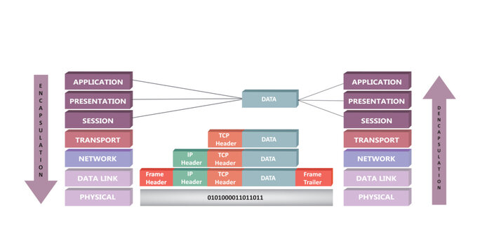 Encapsulation and deencapsulation proces in OSI reference model, vector