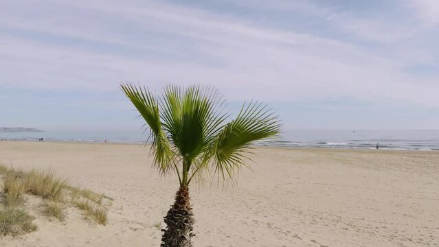 A walk on a sandy beach in Spain. A warm winter day in the sand dunes of Grao. Castellon