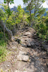 夏山の登山道