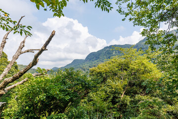 夏山ハイキング