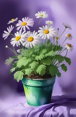 Daisies blooming plant in a green pot. Front view of daisy flower isolated on lilac background. Spring, gardening and flowers gift icon, florist shop and Shopping online