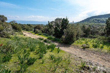View of Aphrodite Nature (Circular) Trail, located above Neo Chorio village on Akamas Peninsula,...