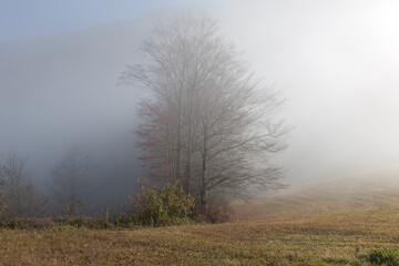Fototapeta premium wafts of fog in the mountains of Austria