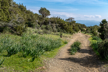 Fototapeta na wymiar View of Aphrodite Nature (Circular) Trail, located above Neo Chorio village on Akamas Peninsula, Pafos district, Cyprus