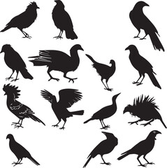 Set of Rooster logo vector black silhouette
