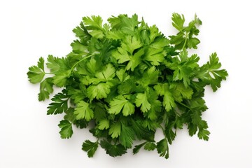 Obraz premium Fresh parsley on a white background. Top view