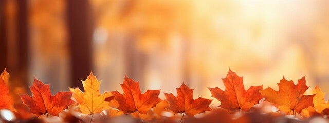 To be used as a banner depicting red maple leaves falling in fall.