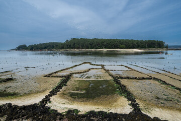 Isla de Cortegada, Carril, A Coruña. Viveros de almejas.
Cortegada Island, Carril, A Coruña. Clam...