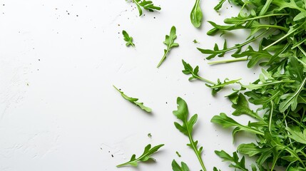 arugula background on white with space for text.