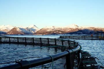 Netzgehege der Aquakultur von Lachs (Salmo salar) in Norwegen, Vesteralen, Meer, Berge, Schnee, Fisch, Zucht