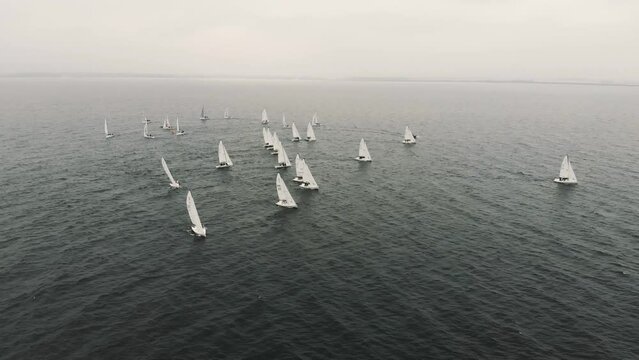 Sloop sailboats race into headwinds on Lake Constance