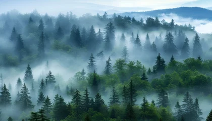 Wall murals Forest in fog Vintage retro style misty mountain landscape with fir forest in green and light gray fog