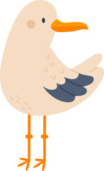 Seagull Bird Animal