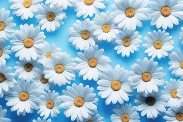Repetition concept. Top view. Pattern made of chamomile flowers on blue background. Spring, summer concept. Flat lay, top view, copy space