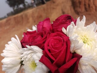 A Beautiful Bouquet Gracing the Base of a Earthy Mound