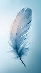 Elegant Single Feather on Blue Background