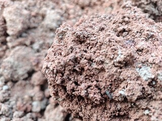 Stunning Images Showcasing the Beauty of Rich and Vibrant Soil