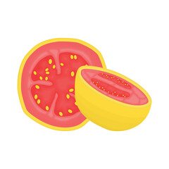 guava illustration