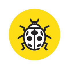 てんとう虫　テントウムシ