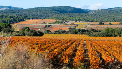 Villeneuve-Minervois